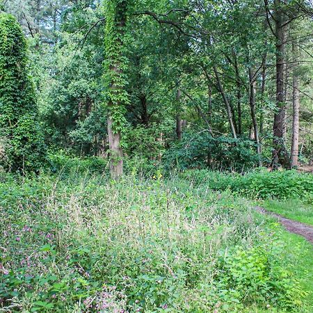 Huiske Oan T Bos Lage Mierde المظهر الخارجي الصورة